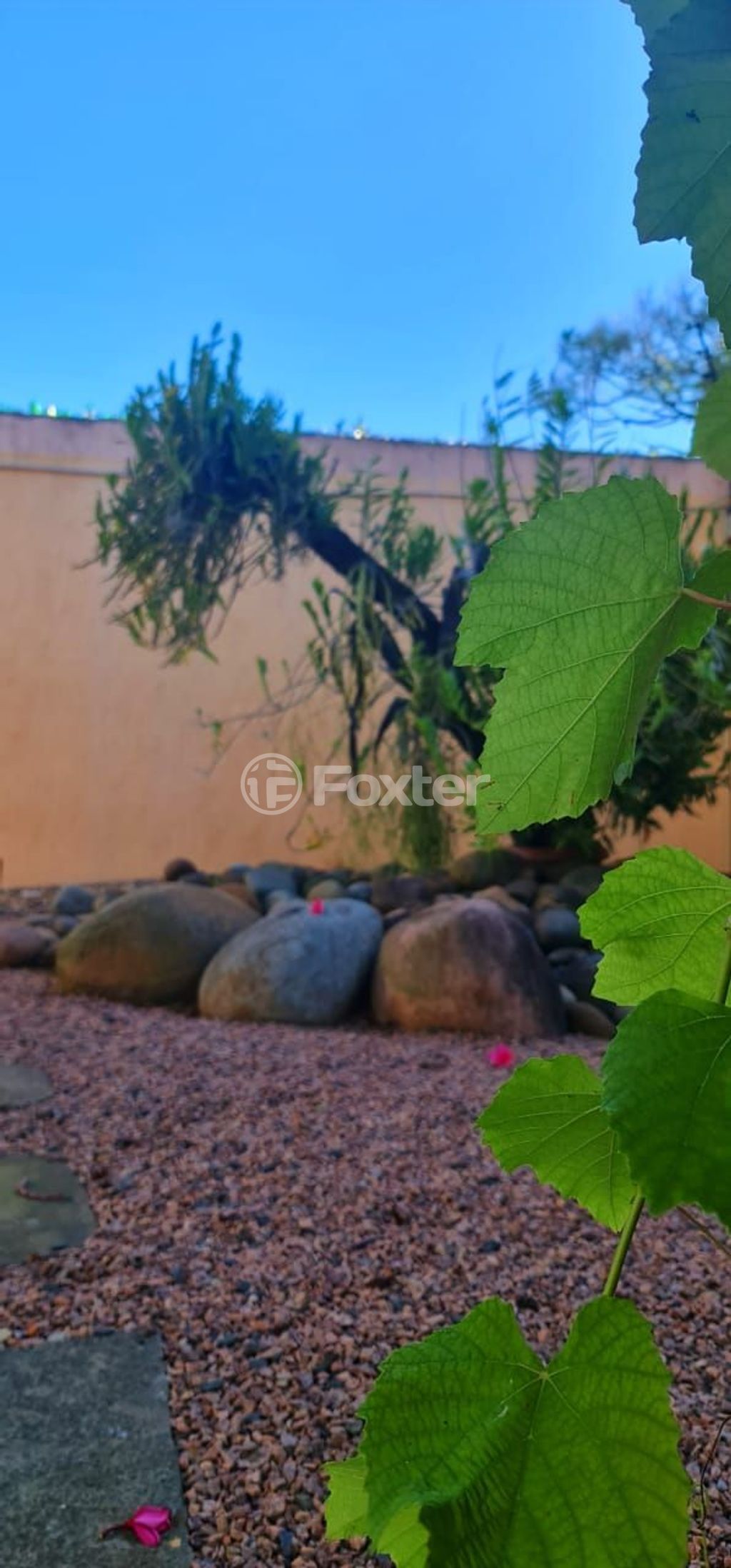 casa sobrado para comprar em Cai, 917 - foto 14