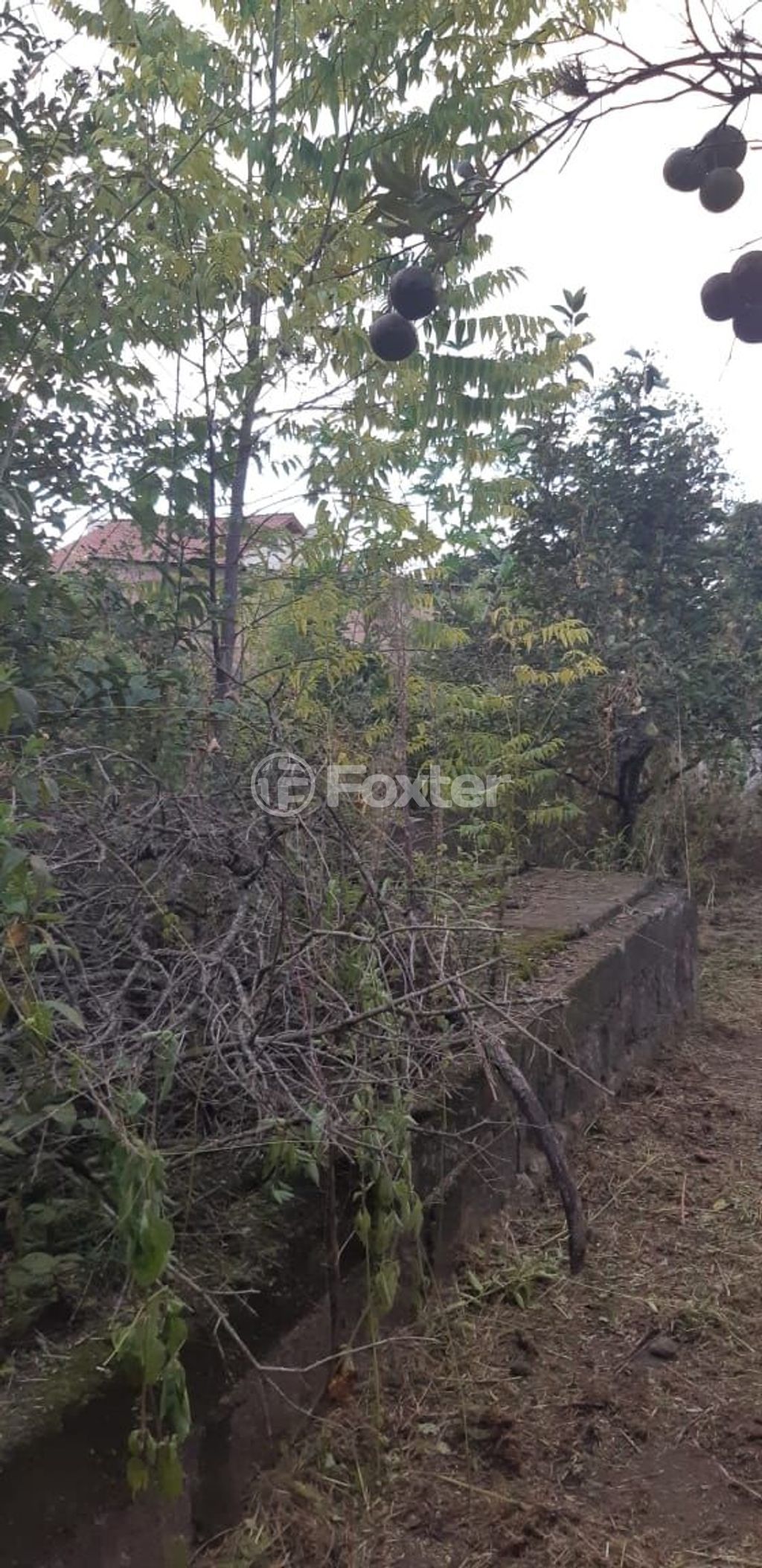 terreno lote condominio para comprar em Doutor Mário Totta, 1771 - foto 13