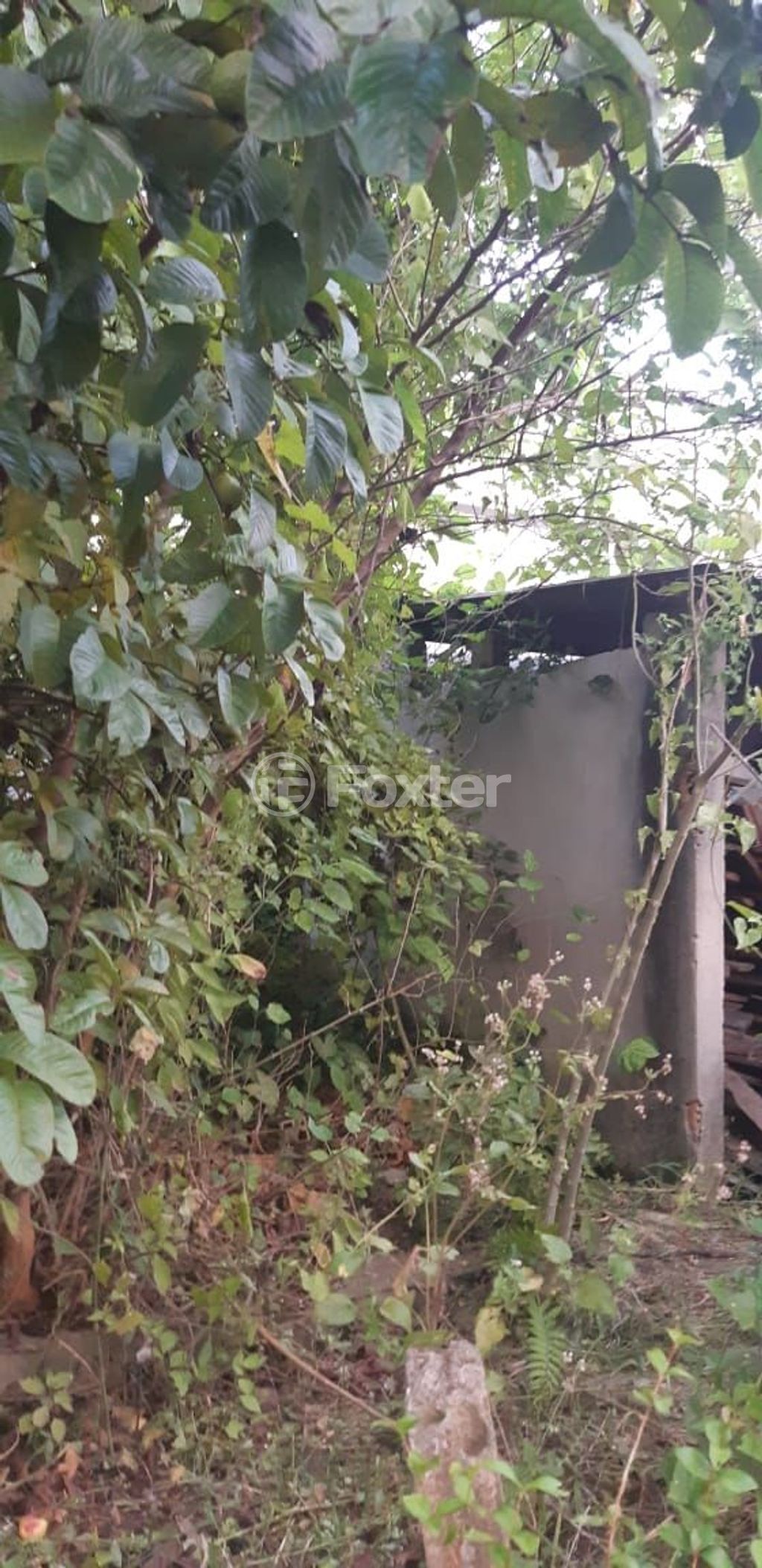 terreno lote condominio para comprar em Doutor Mário Totta, 1771 - foto 14