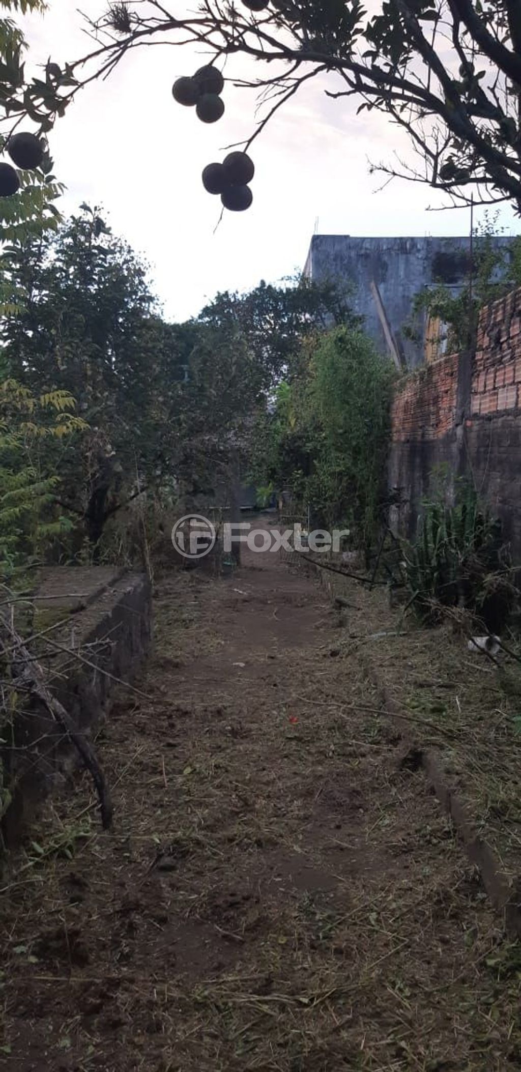 terreno lote condominio para comprar em Doutor Mário Totta, 1771 - foto 12