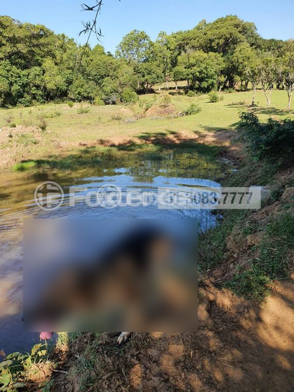 sitio chachara fazenda para comprar em Lomba do Vadeco, 5600 - foto 12