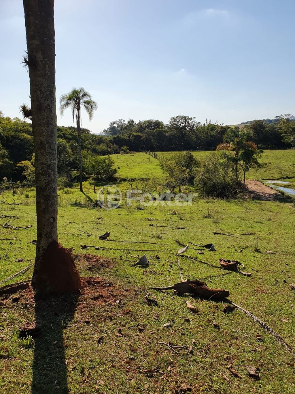 sitio chachara fazenda para comprar em Lomba do Vadeco, 5600 - foto 5