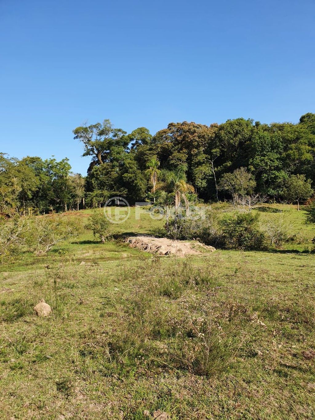 sitio chachara fazenda para comprar em Lomba do Vadeco, 5600 - foto 7