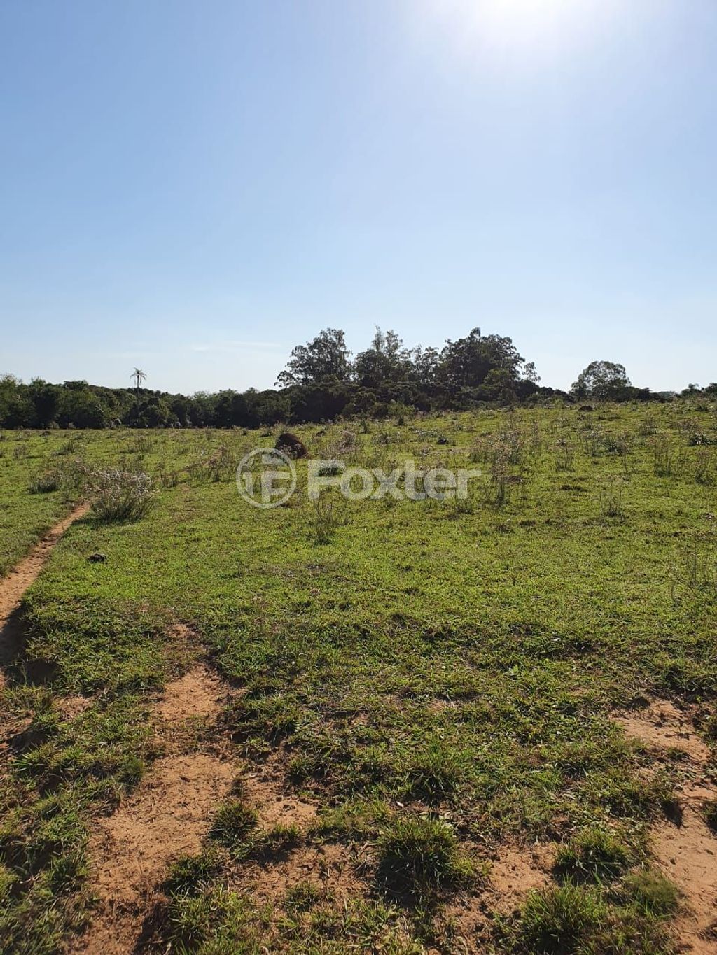 sitio chachara fazenda para comprar em Lomba do Vadeco, 5600 - foto 4