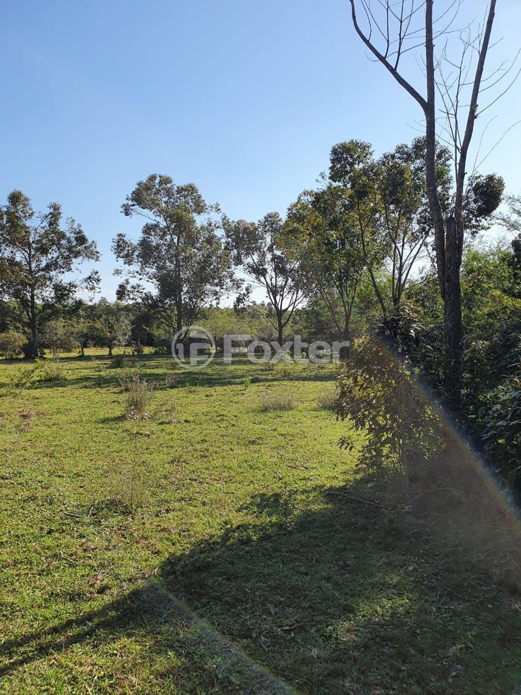 sitio chachara fazenda para comprar em Lomba do Vadeco, 5600 - foto 19