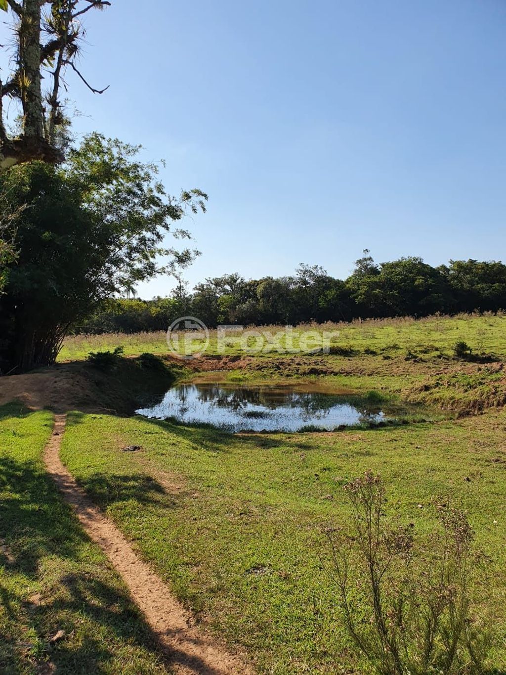 sitio chachara fazenda para comprar em Lomba do Vadeco, 5600 - foto 10