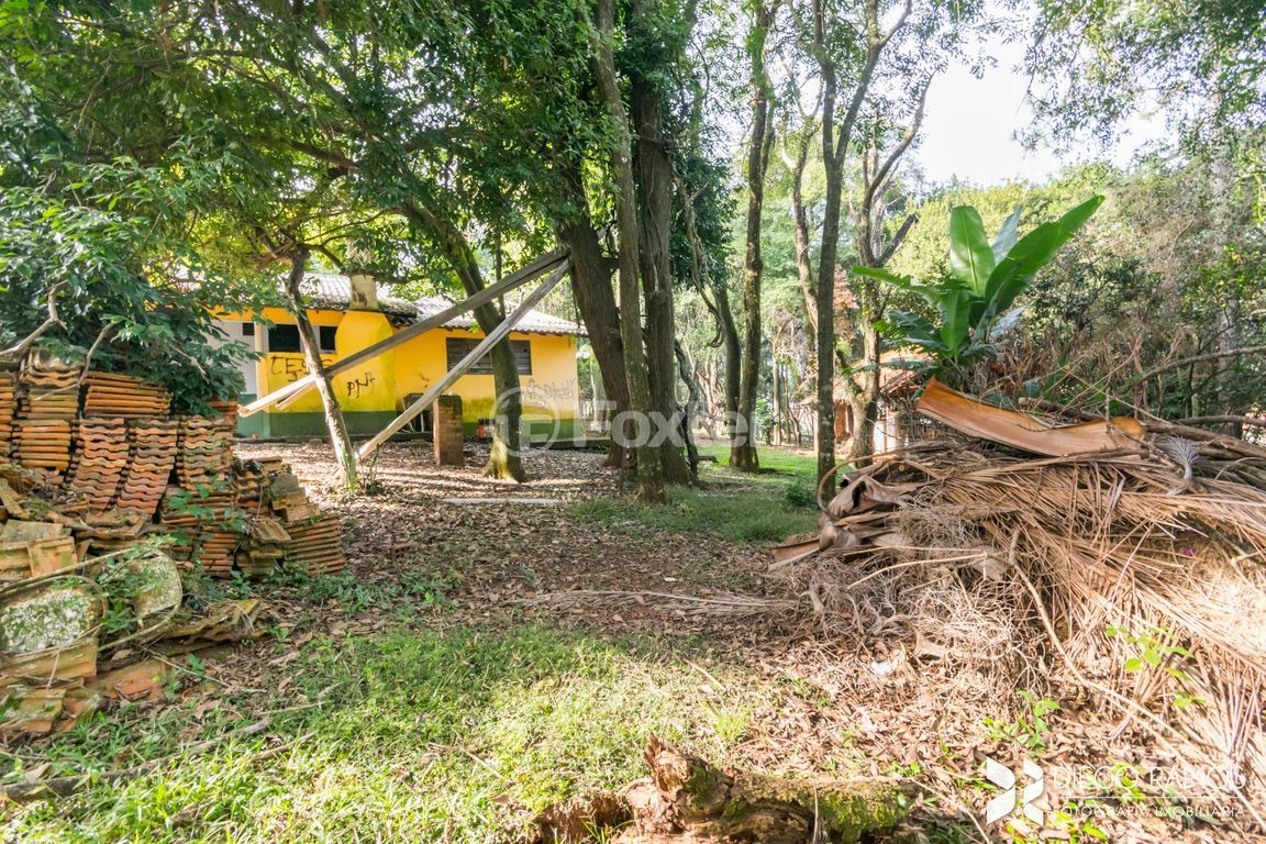sitio chachara fazenda para comprar em São Luiz, 991 - foto 37