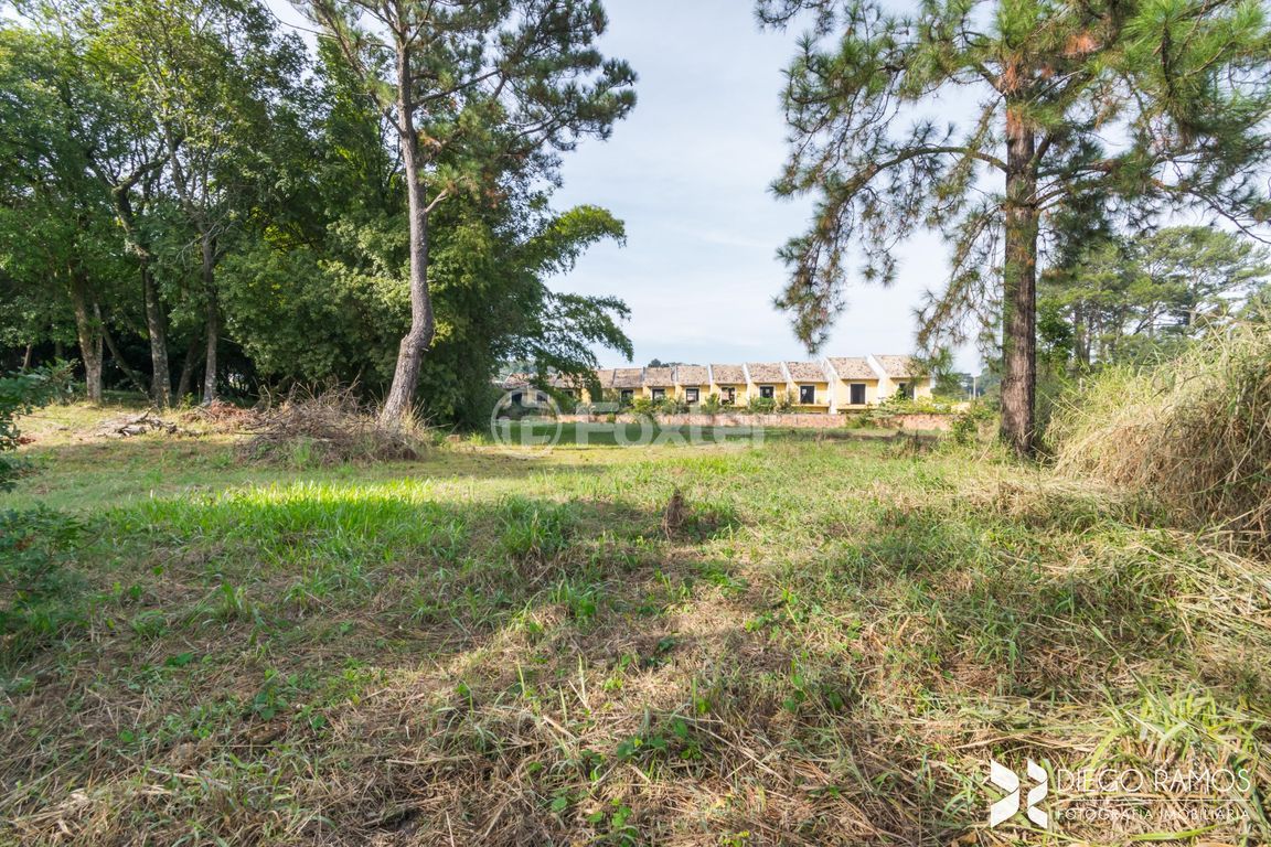 sitio chachara fazenda para comprar em São Luiz, 991 - foto 38