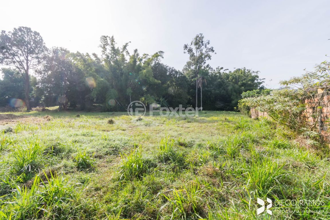 sitio chachara fazenda para comprar em São Luiz, 991 - foto 39