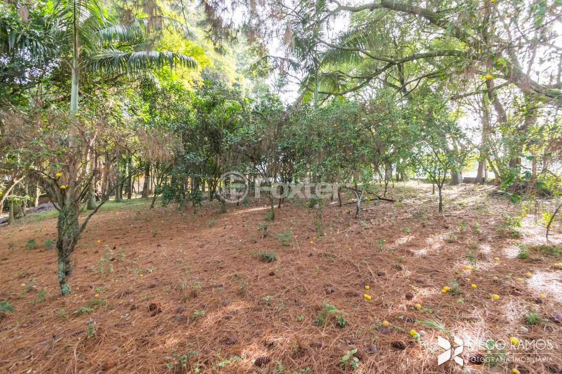 sitio chachara fazenda para comprar em São Luiz, 991 - foto 40