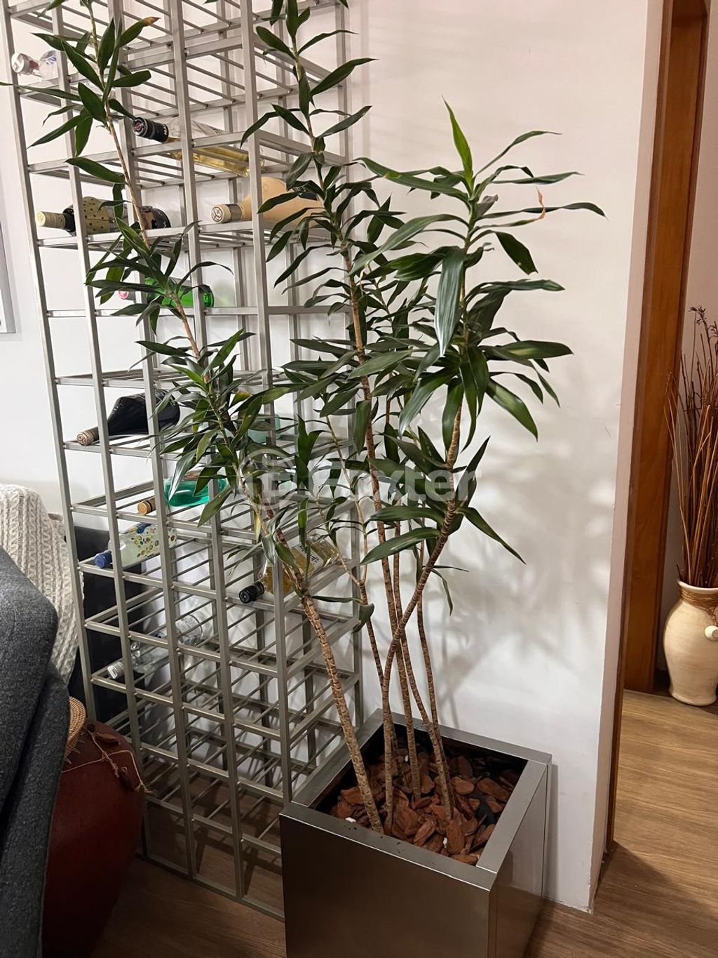 Apartamento para comprar em PROTASIO ALVES, 5188 - foto 10