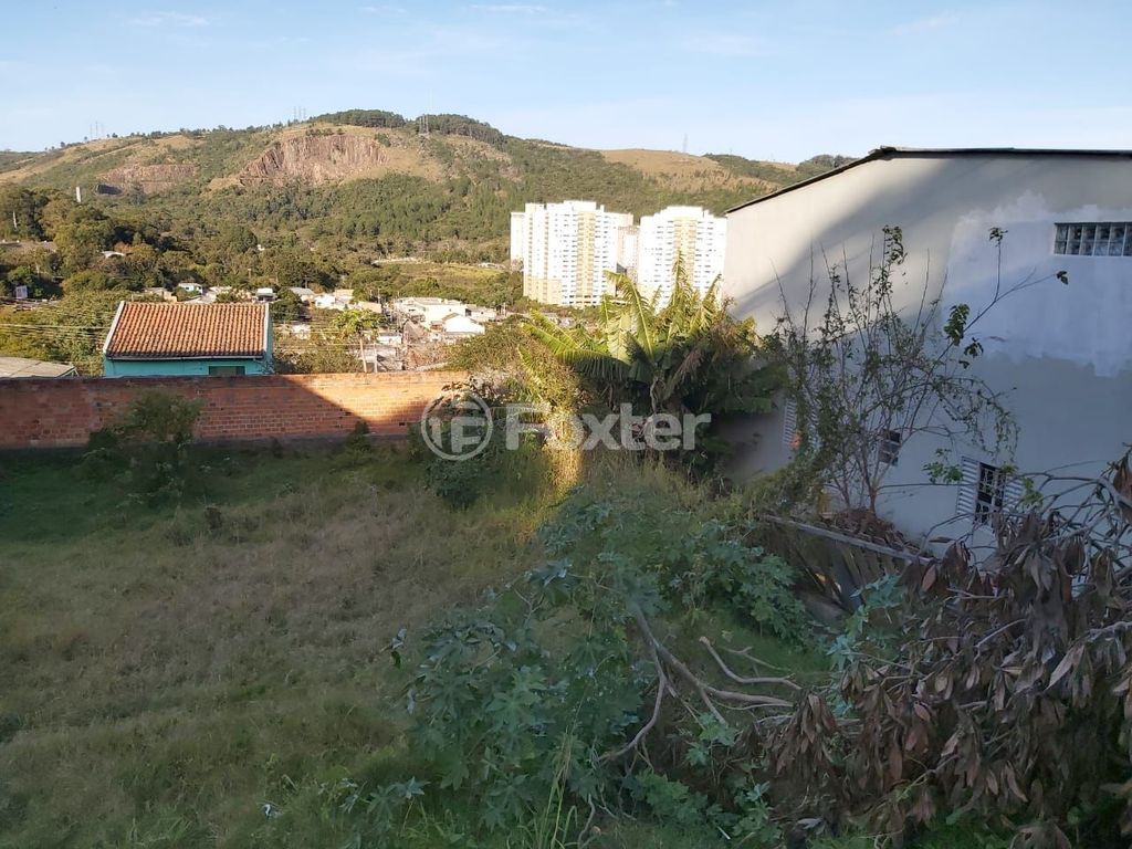 terreno lote condominio para comprar em Eduardo Gerhardt, 226 - foto 7