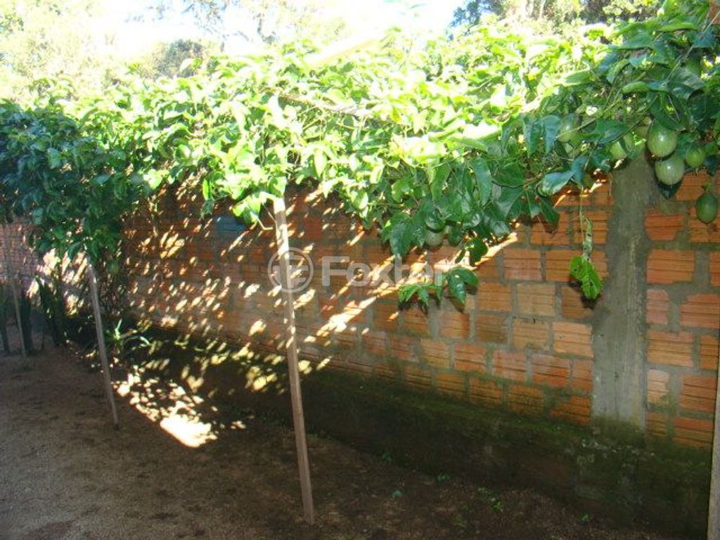 casa sobrado para comprar em Otaviano José Pinto, 262 - foto 36