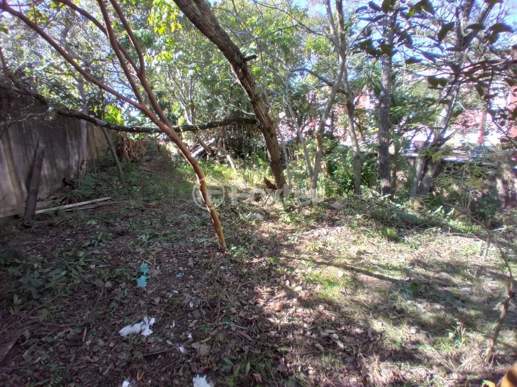 terreno lote condominio para comprar em Tenente Ary Tarrago, 2060 - foto 10