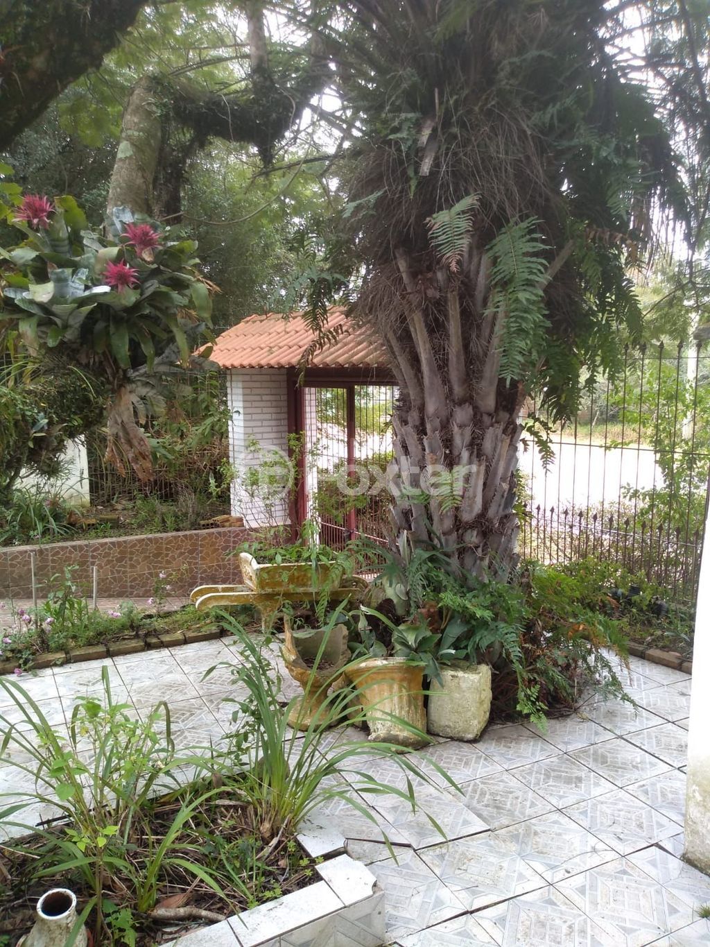 casa sobrado para comprar em Otaviano José Pinto, 1807 - foto 7