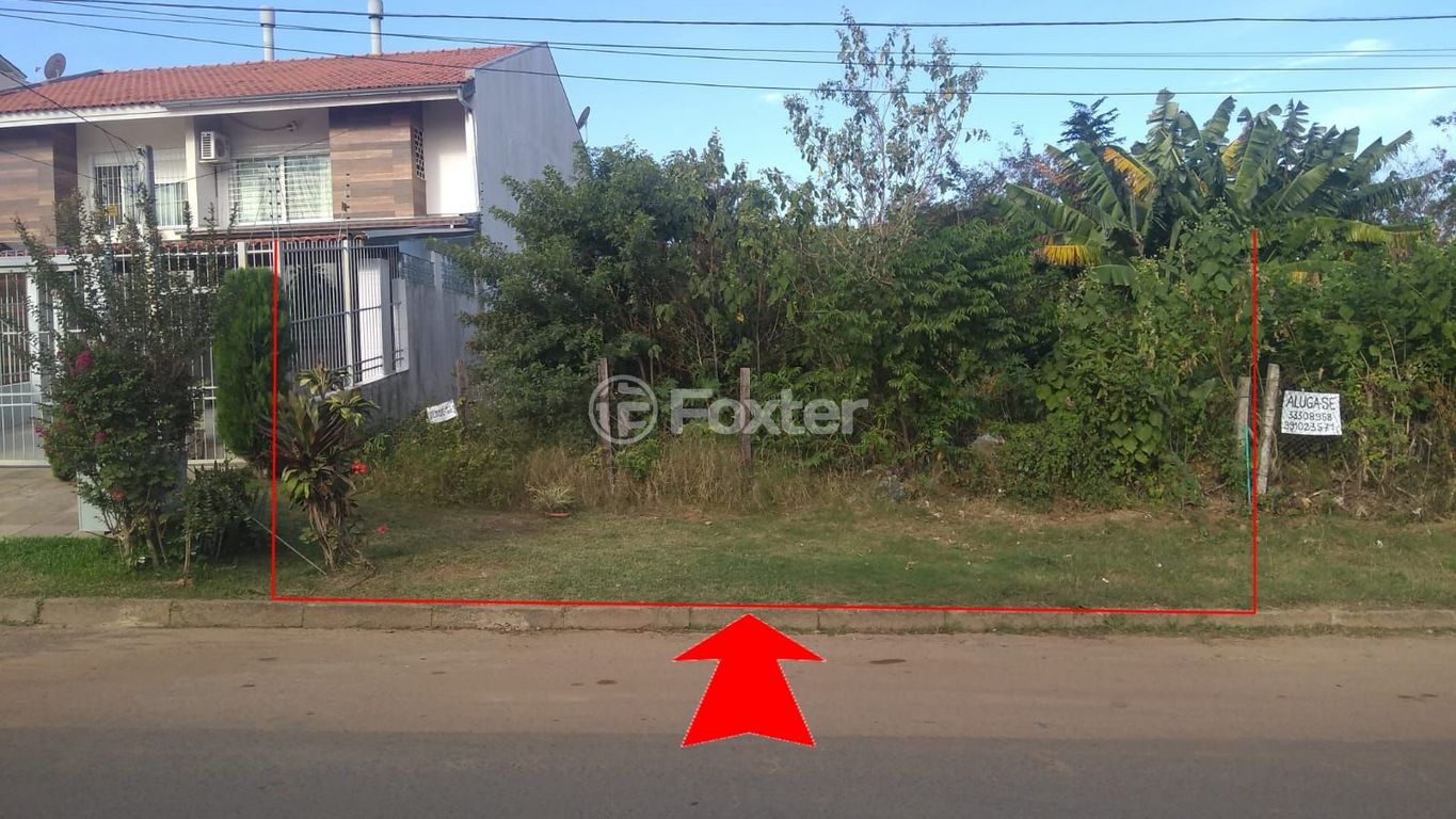 Foto do Anuncio