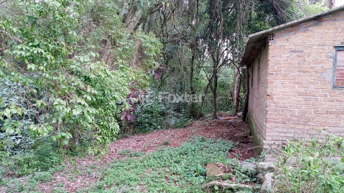 sitio chachara fazenda para comprar em dos Mendonças, 600 - foto 30