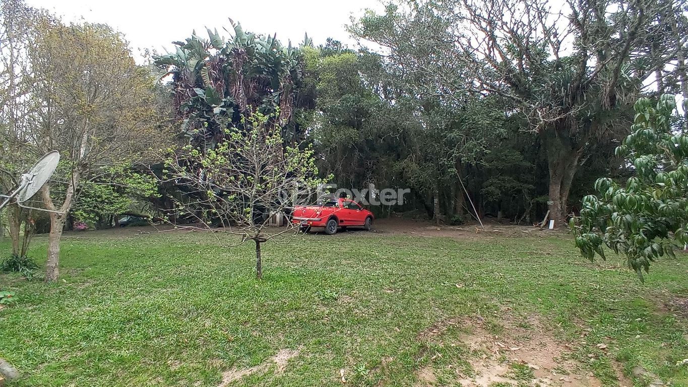 sitio chachara fazenda para comprar em dos Mendonças, 600 - foto 32