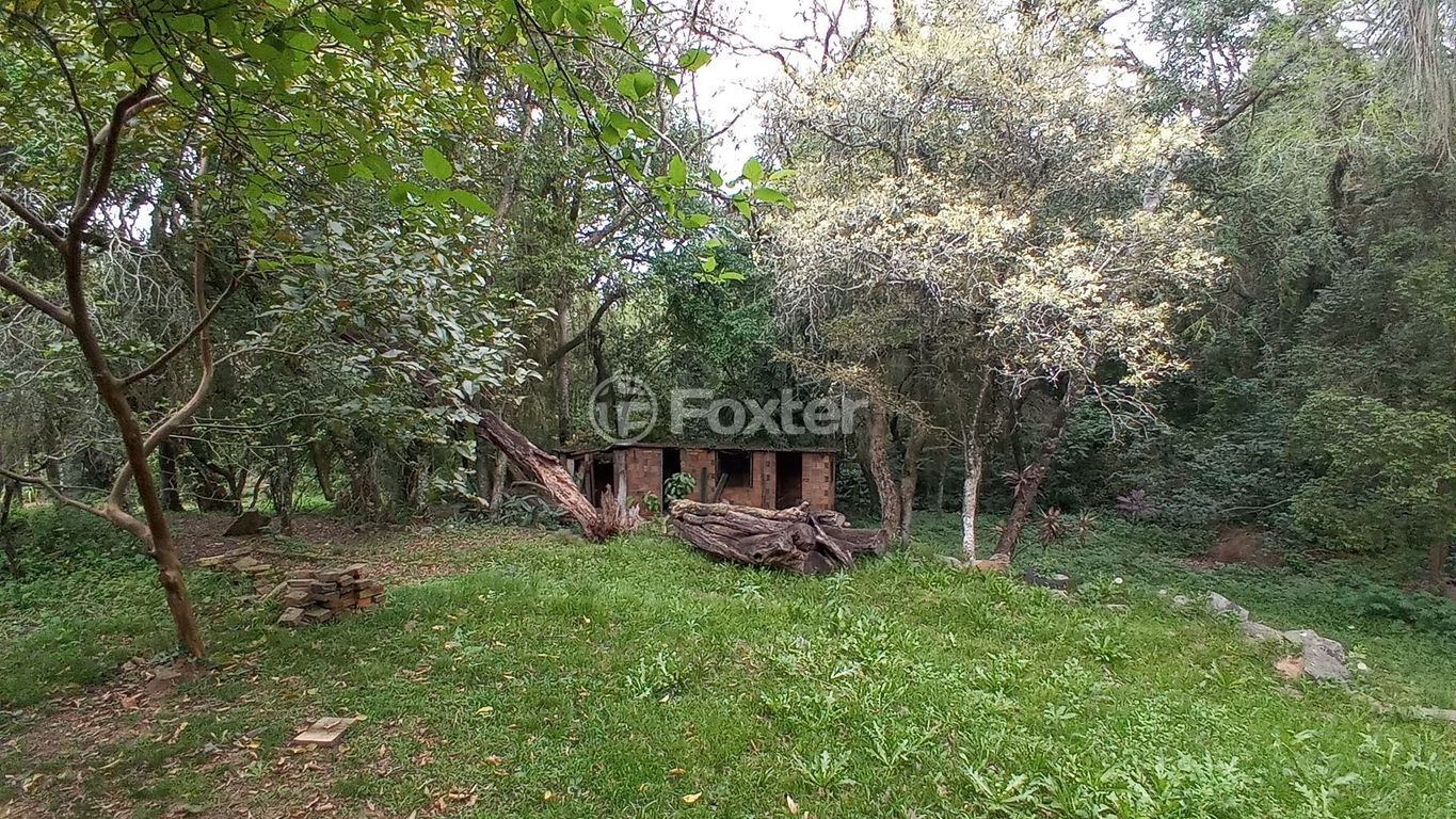 sitio chachara fazenda para comprar em dos Mendonças, 600 - foto 33