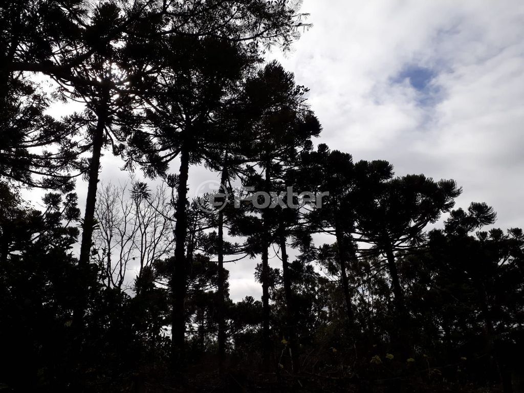 sitio chachara fazenda para comprar em dos Mendonças, 600 - foto 35