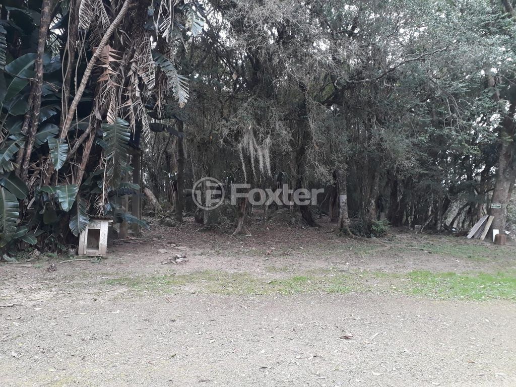 sitio chachara fazenda para comprar em dos Mendonças, 600 - foto 37