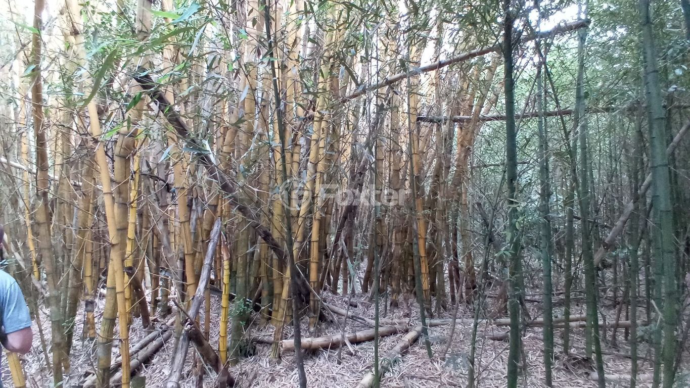 sitio chachara fazenda para comprar em dos Mendonças, 600 - foto 39