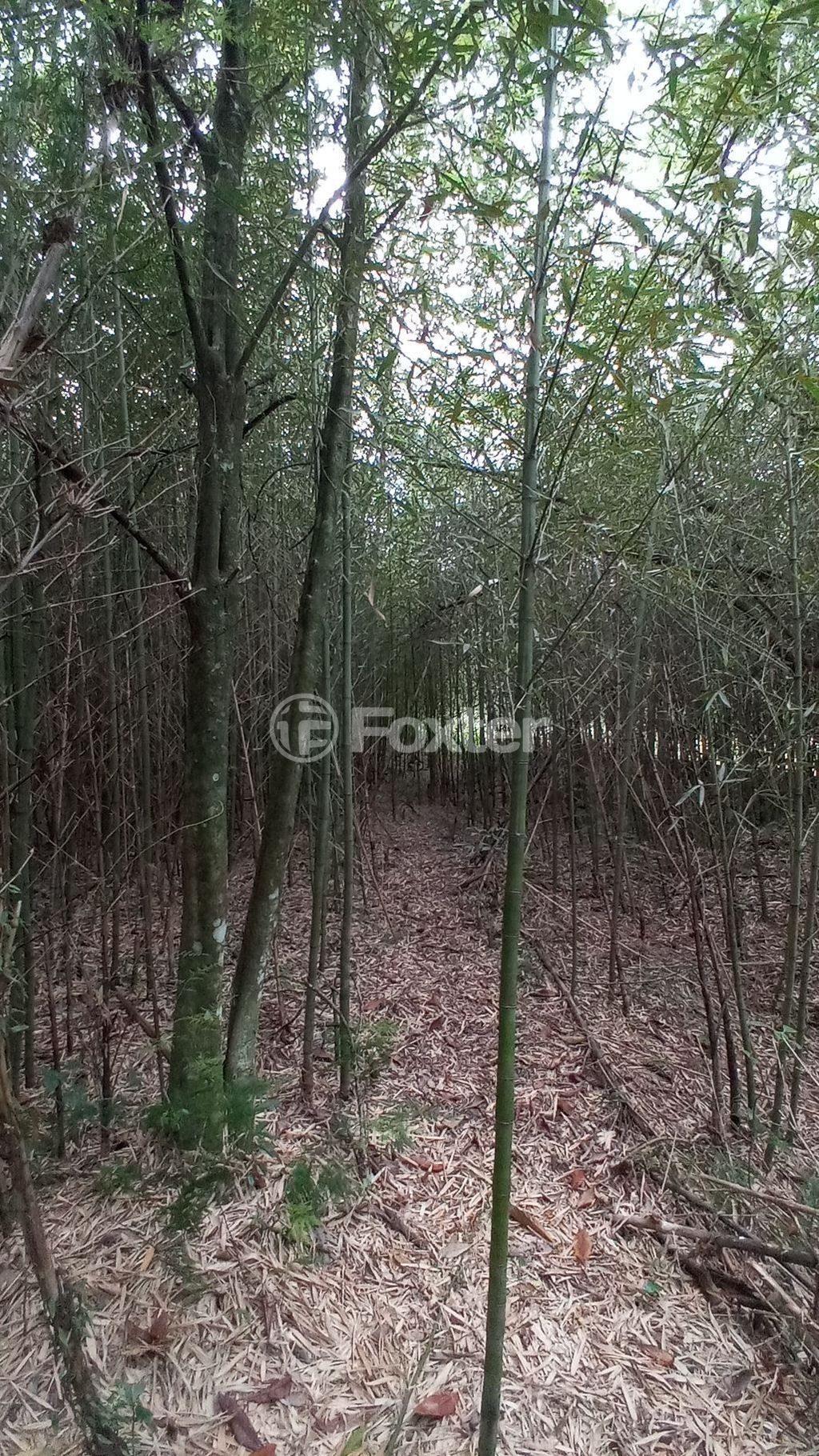 sitio chachara fazenda para comprar em dos Mendonças, 600 - foto 40