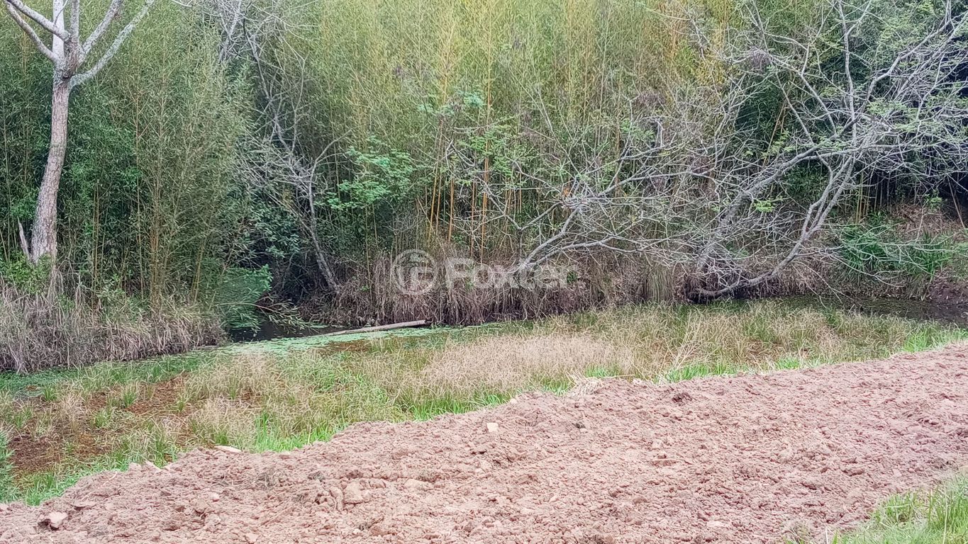 sitio chachara fazenda para comprar em dos Mendonças, 600 - foto 42