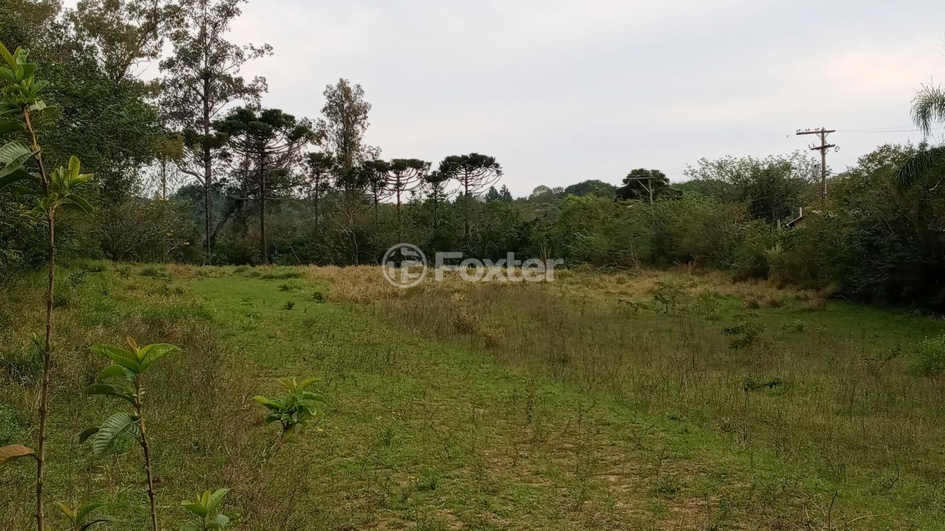 sitio chachara fazenda para comprar em dos Mendonças, 600 - foto 43