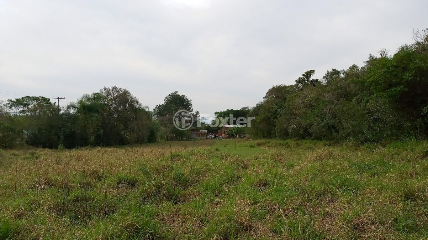 sitio chachara fazenda para comprar em dos Mendonças, 600 - foto 44