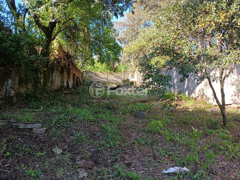 terreno lote condominio para comprar em VICENTE MONTEGGIA, 784 - foto 10