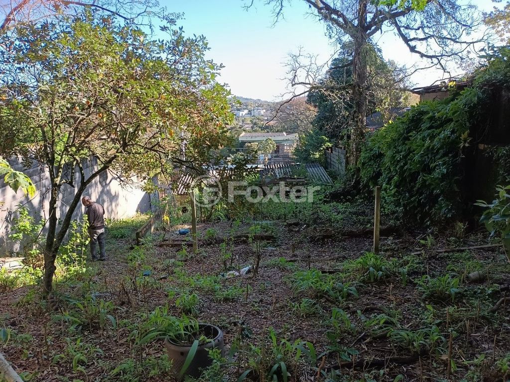 terreno lote condominio para comprar em VICENTE MONTEGGIA, 784 - foto 9