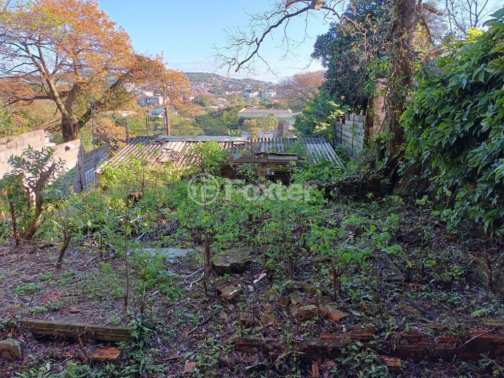 terreno lote condominio para comprar em VICENTE MONTEGGIA, 784 - foto 7