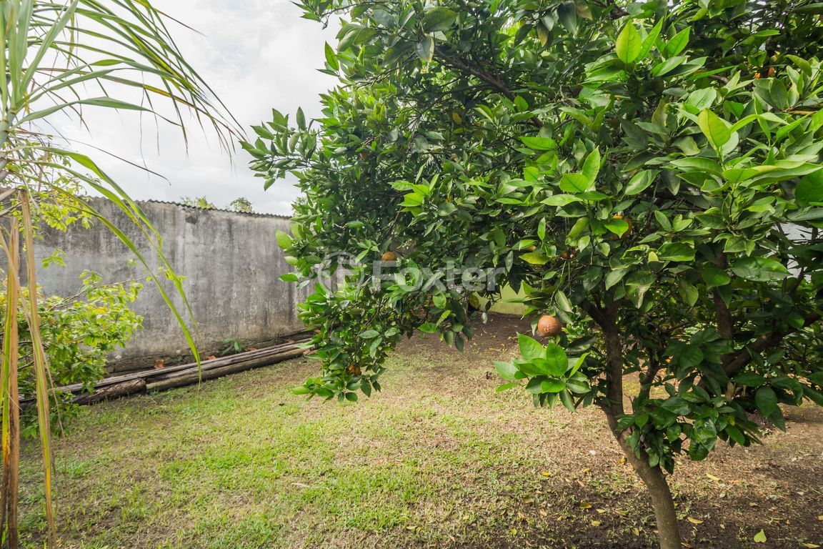 casa sobrado para comprar em dos Prazeres, 546 - foto 34