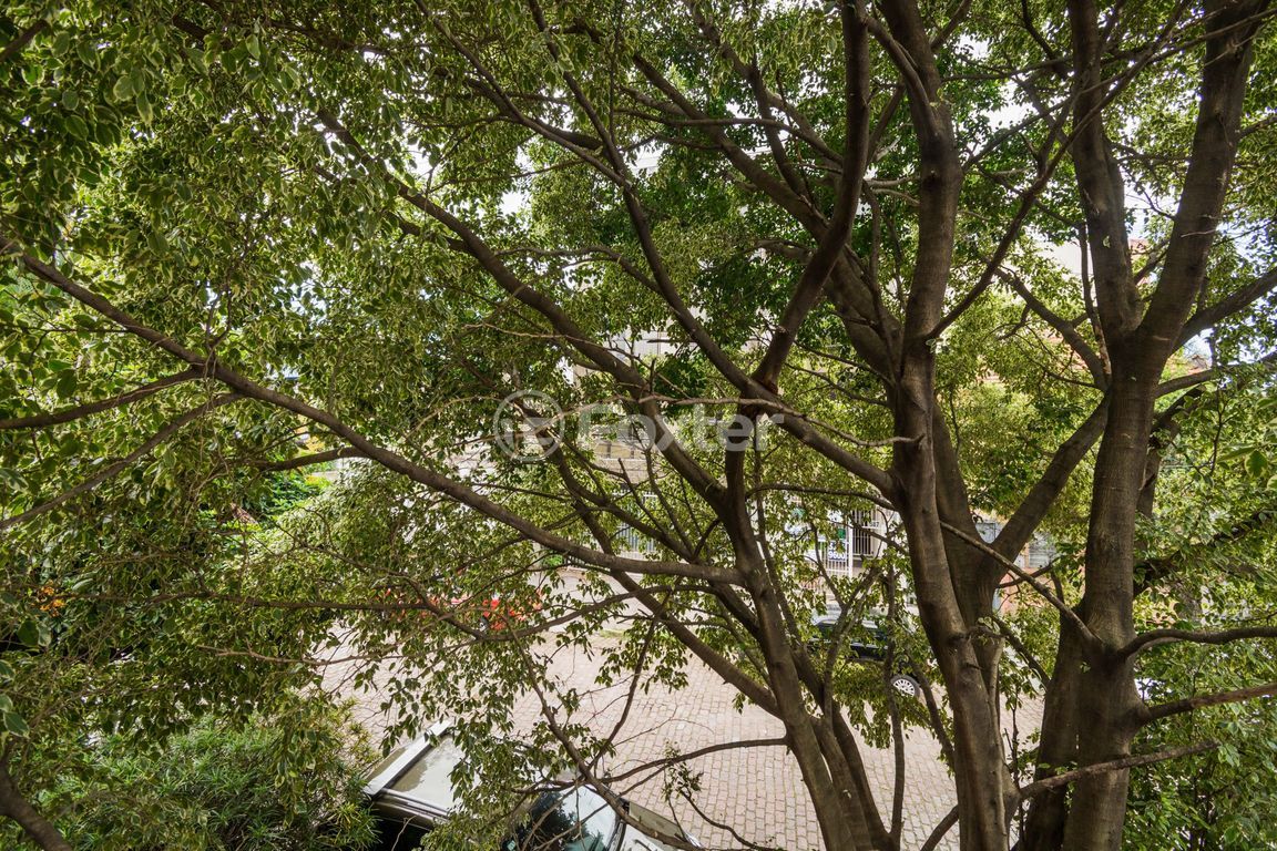 casa sobrado para comprar em Almirante Barroso, 584 - foto 24