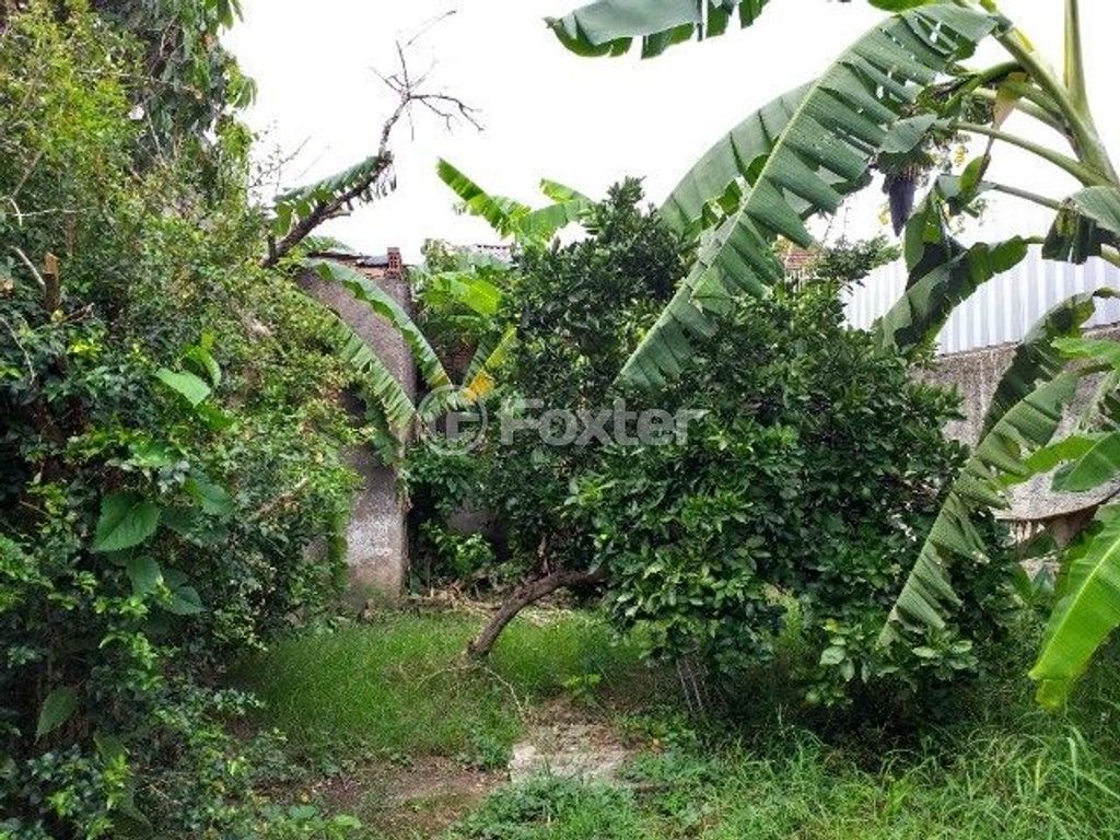 casa sobrado para comprar em Coronel José Rodrigues Sobral, 296 - foto 14