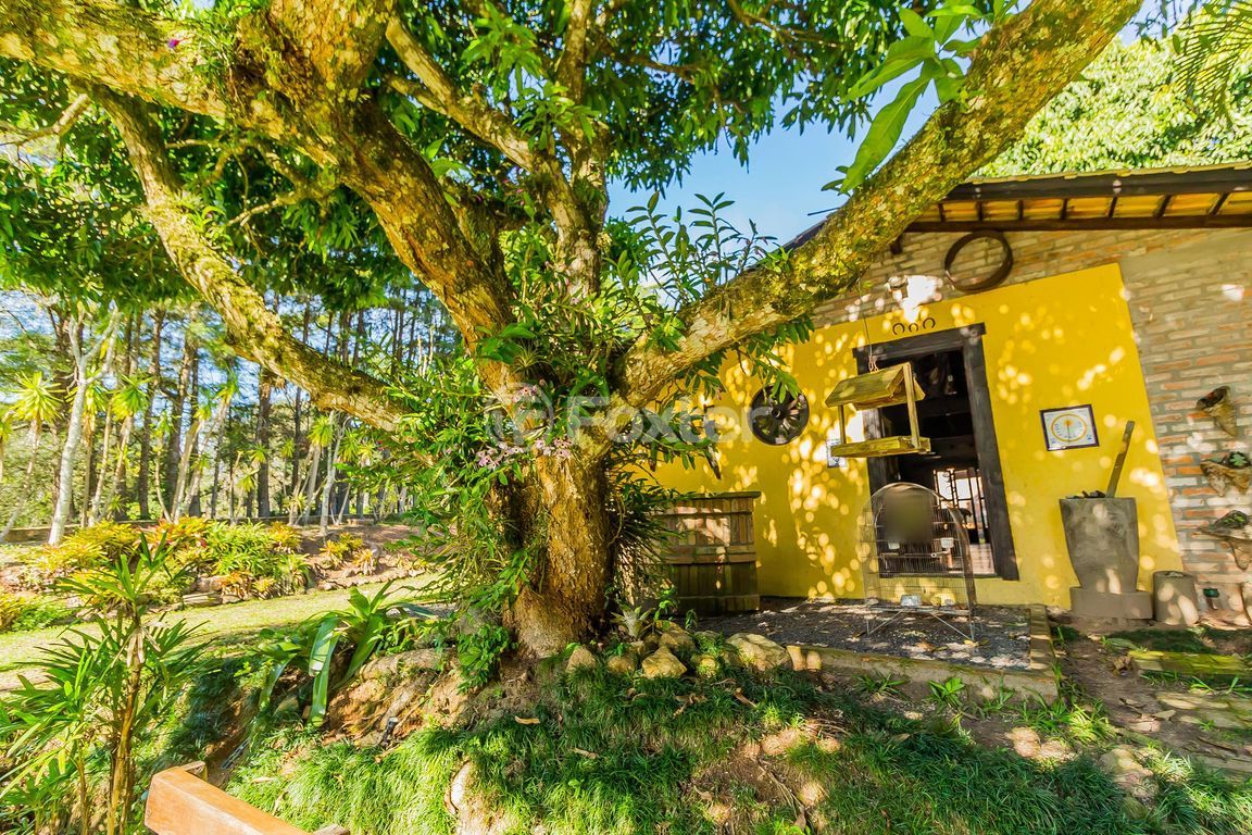 sitio chachara fazenda para comprar em Artur José Gattino, 3774 - foto 83