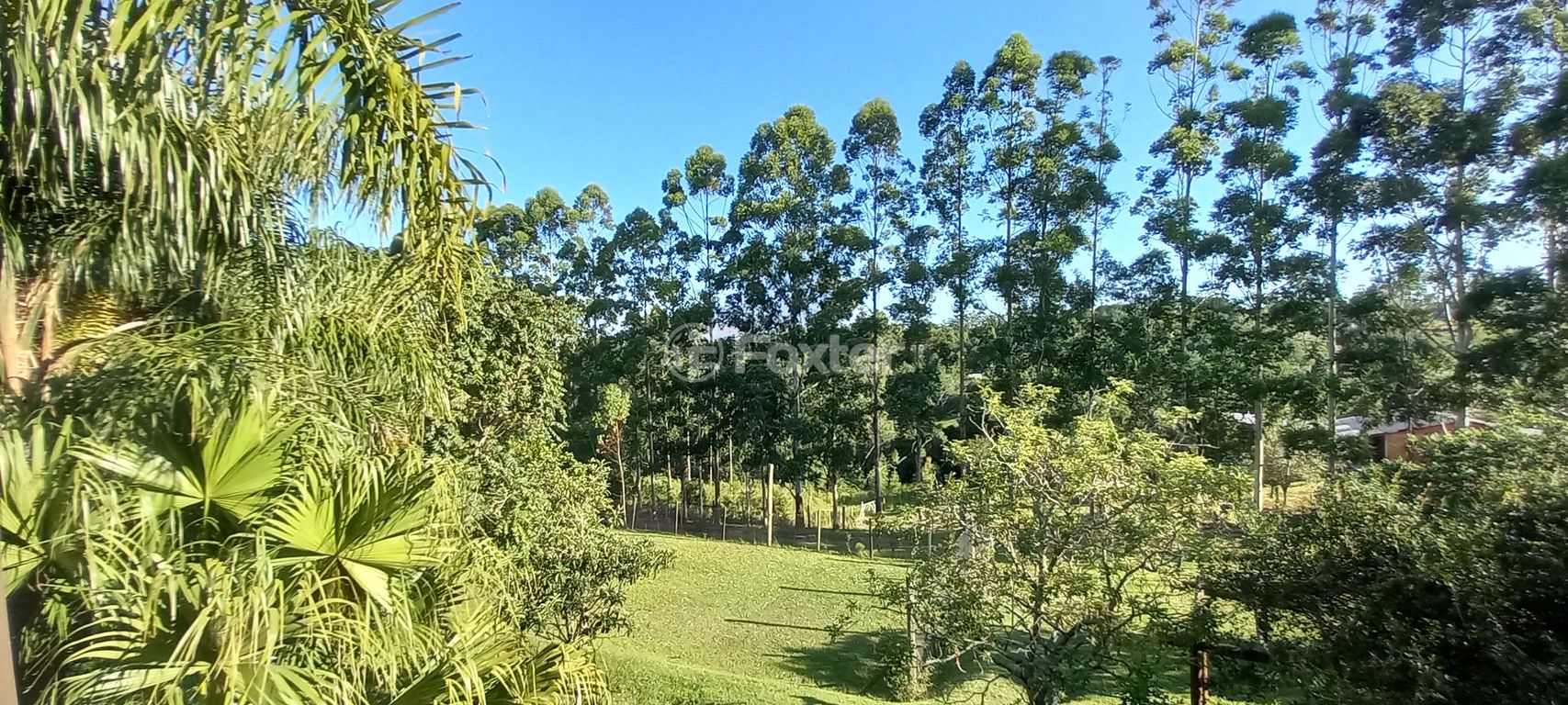 Foto do Anuncio