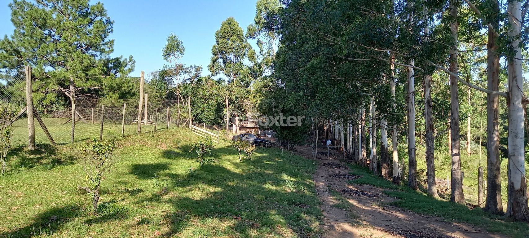 sitio chachara fazenda para comprar em do Cocão, 2255 - foto 64