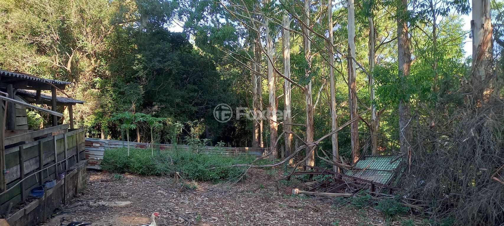 sitio chachara fazenda para comprar em do Cocão, 2255 - foto 70