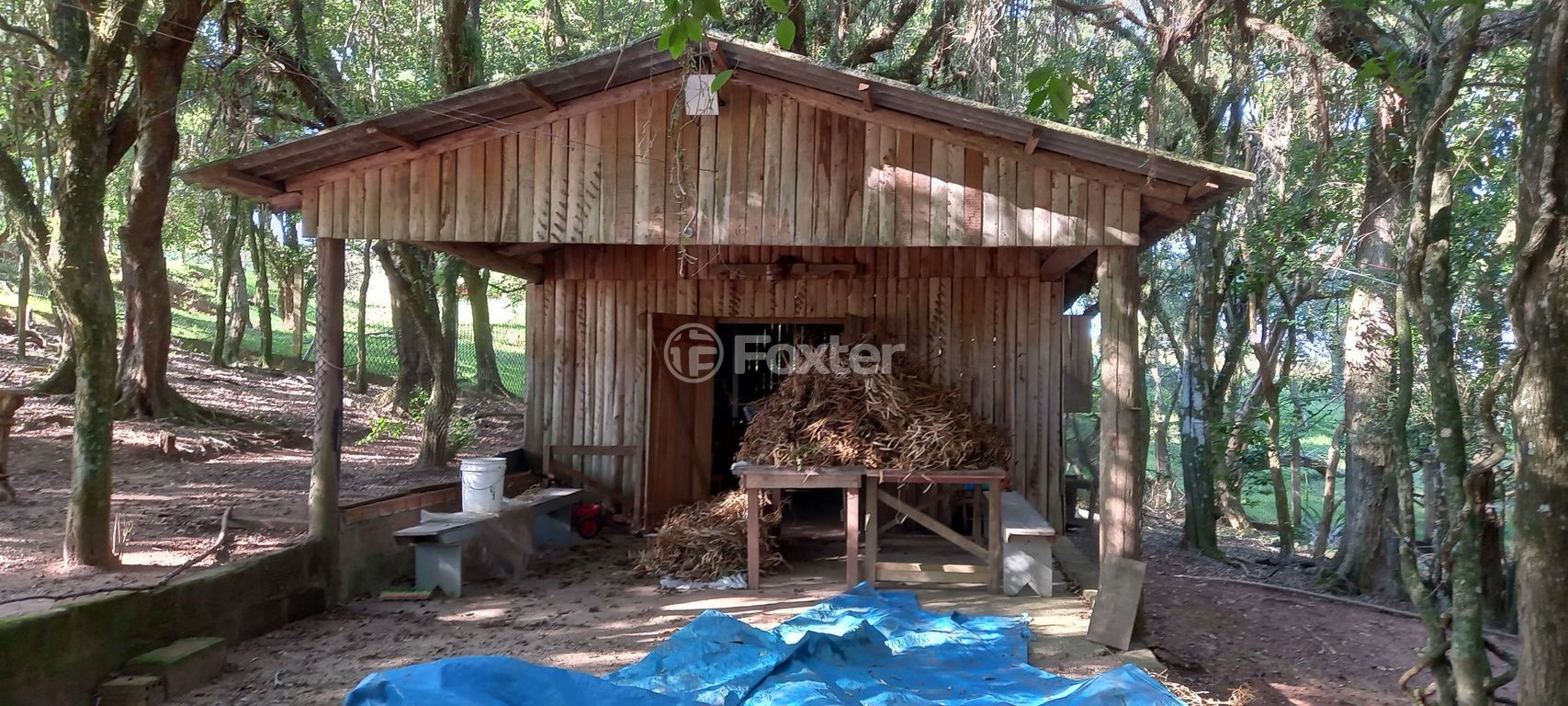 sitio chachara fazenda para comprar em do Cocão, 2255 - foto 73