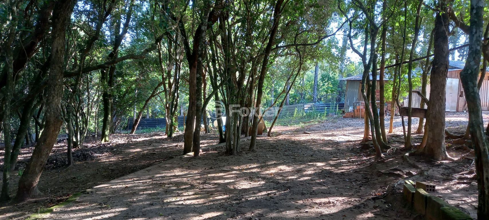 sitio chachara fazenda para comprar em do Cocão, 2255 - foto 75