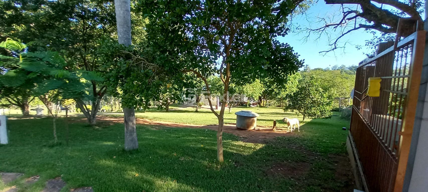 sitio chachara fazenda para comprar em do Cocão, 2255 - foto 79