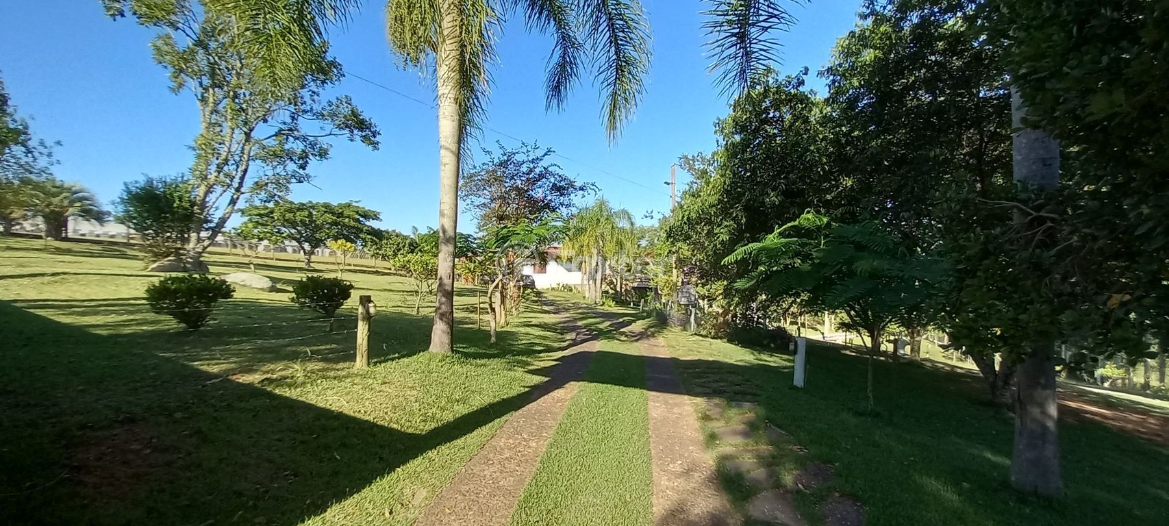 sitio chachara fazenda para comprar em do Cocão, 2255 - foto 80