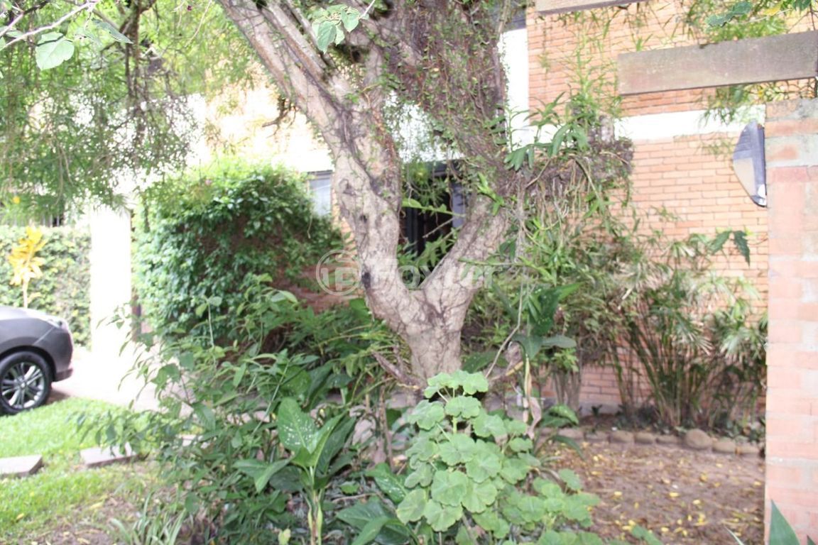 casa sobrado para comprar em Monte Cristo, 436 - foto 7