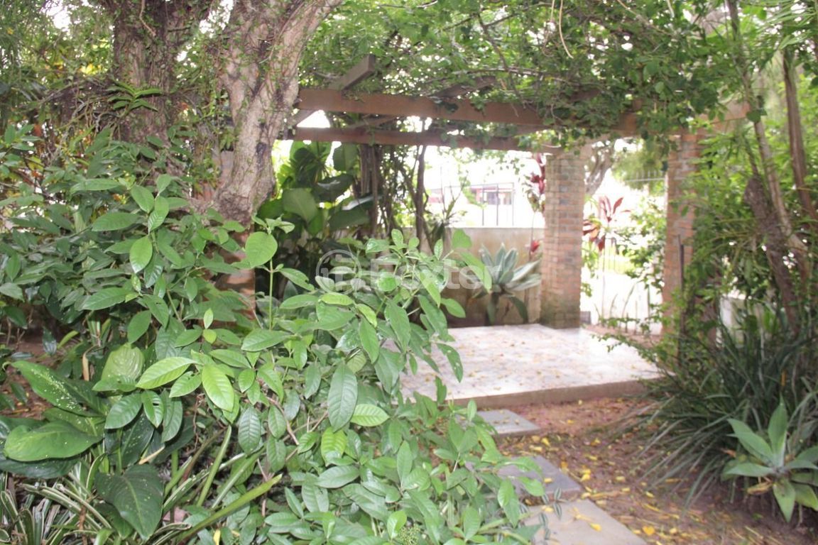 casa sobrado para comprar em Monte Cristo, 436 - foto 10