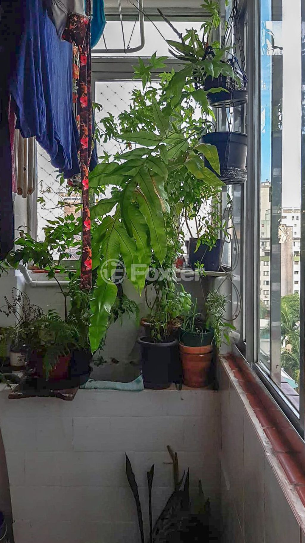 Apartamento para comprar em RIACHUELO, 730 - foto 14