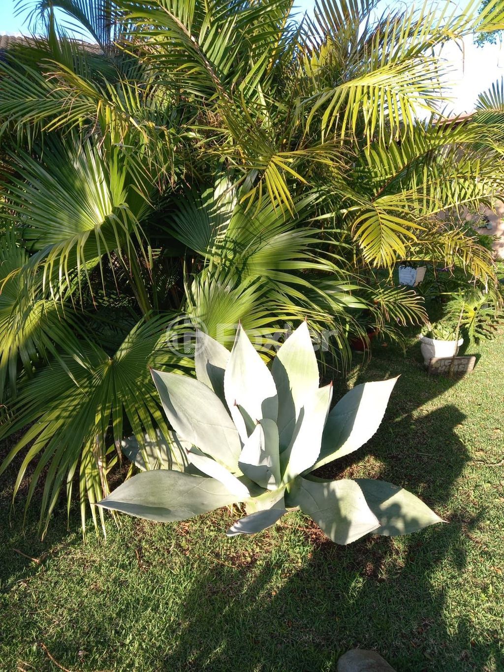 casa sobrado para comprar em Gamboa, 878 - foto 22