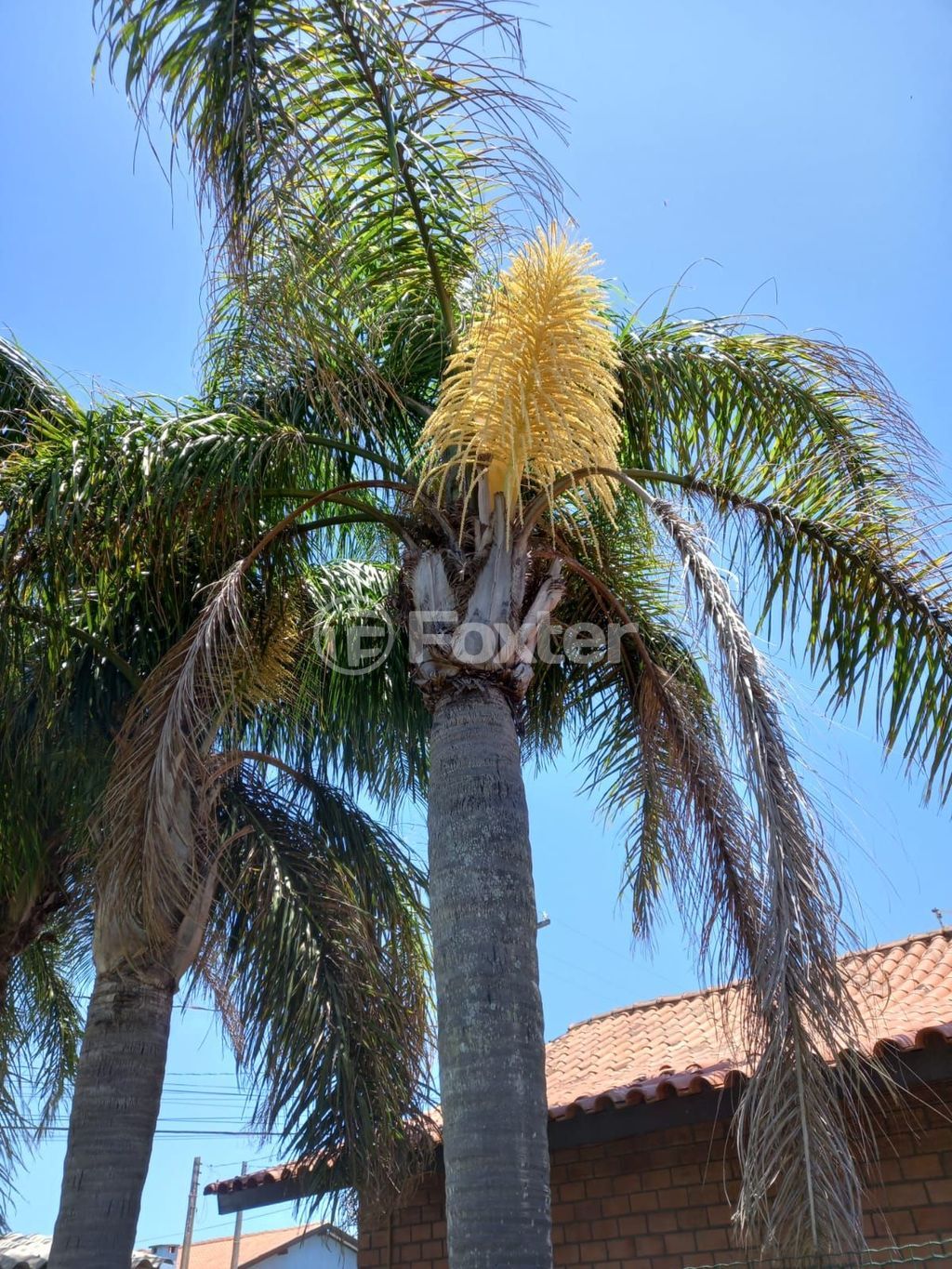 casa sobrado para comprar em Gamboa, 878 - foto 24