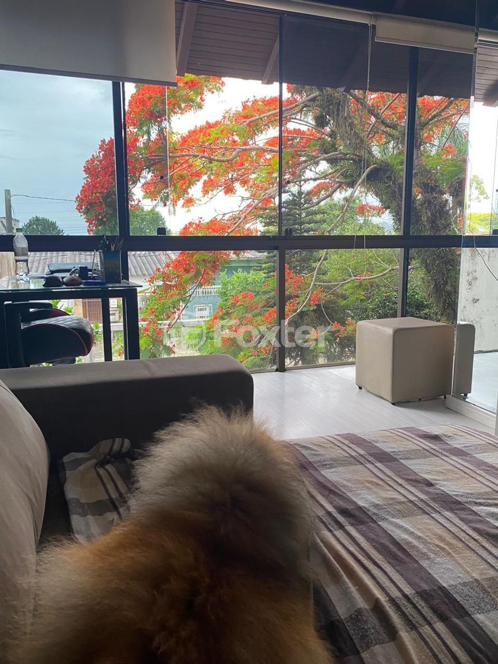 casa sobrado para comprar em Bartolomeu Dias, 333 - foto 55